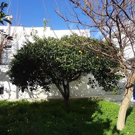 Σπίτι διακοπών Alexandros House