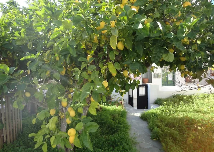 Alexandros House 아폴로니아